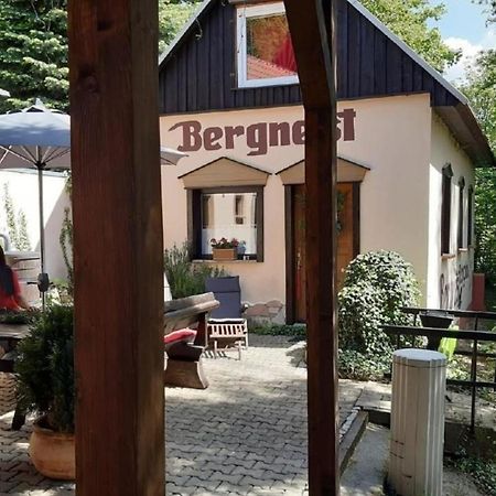 Bergnest Bungalow Bad Gottleuba-Berggiesshuebel Экстерьер фото