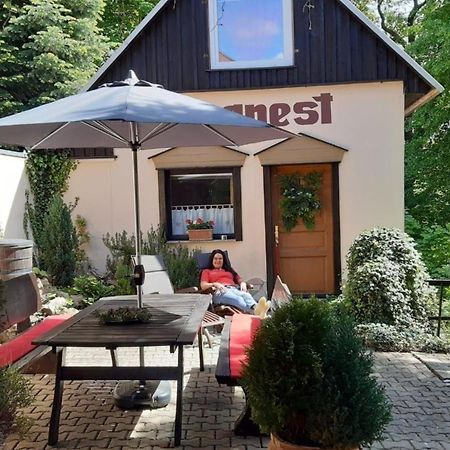 Bergnest Bungalow Bad Gottleuba-Berggiesshuebel Экстерьер фото