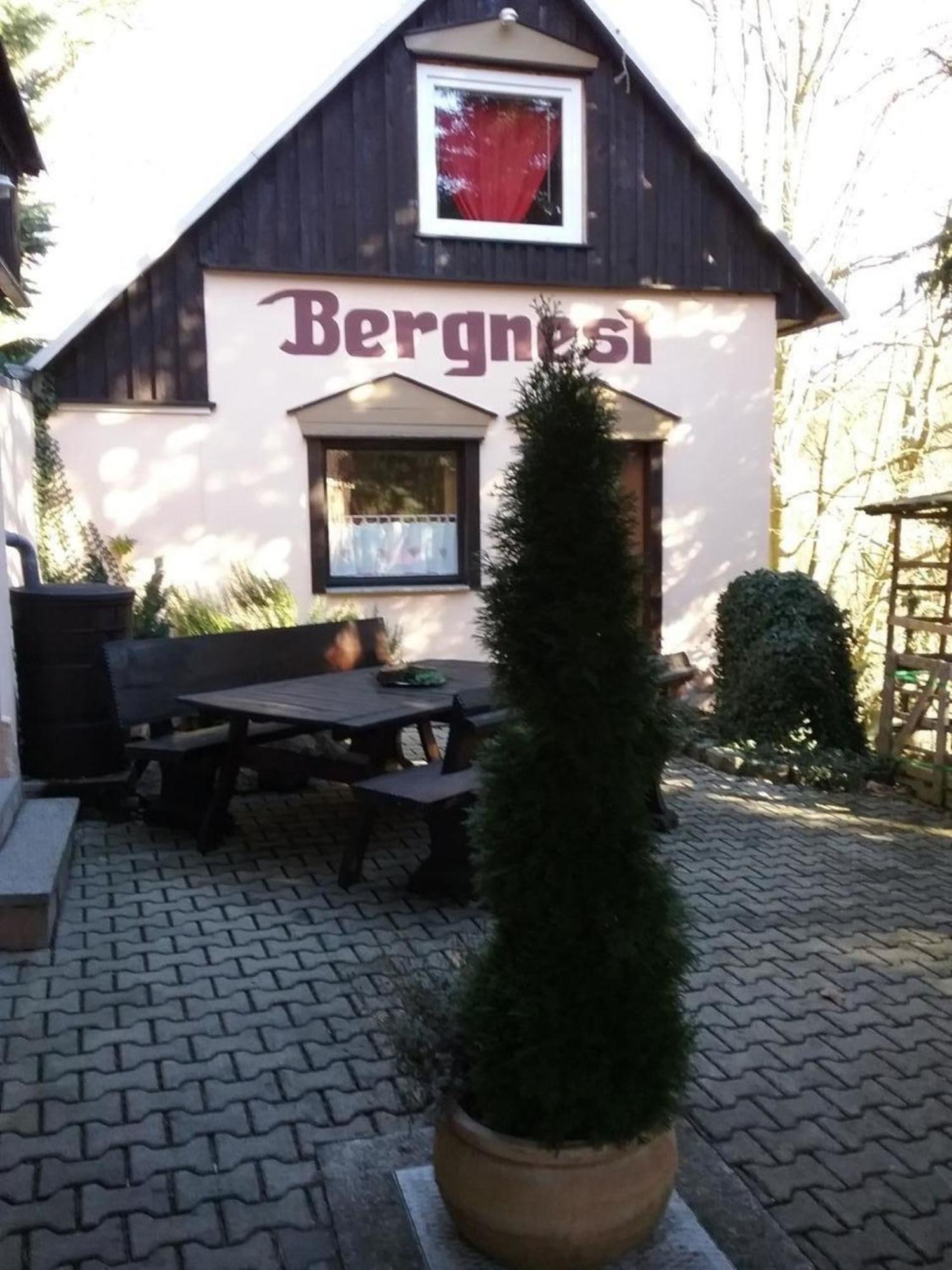Bergnest Bungalow Bad Gottleuba-Berggiesshuebel Экстерьер фото